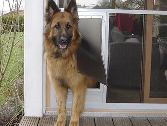 koenigsberger-insektenschutz-tierklappe2