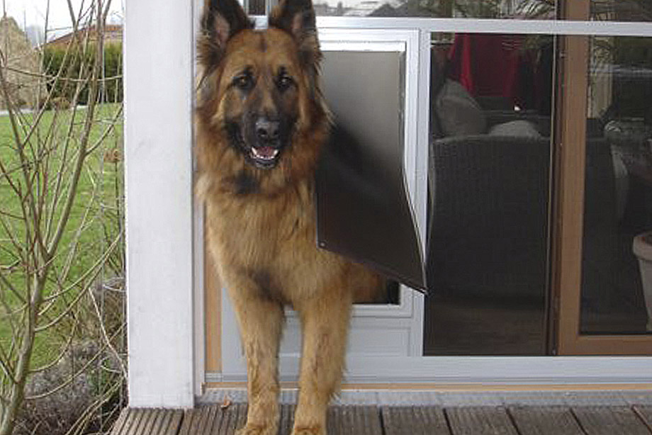 Königsberger Tierklappen